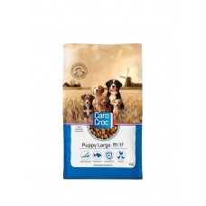 CaroCroc Puppy Large